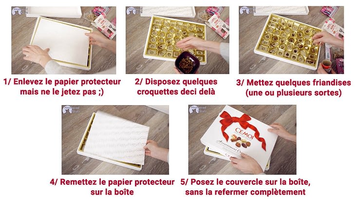 Tuto Jouets Friandises Pour Chat Special Noel Absolument Chats