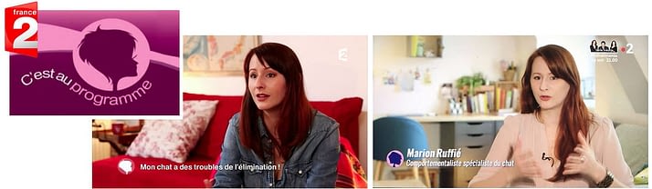 Cleaners Les Experts Du Ménage Youtube Partenaires