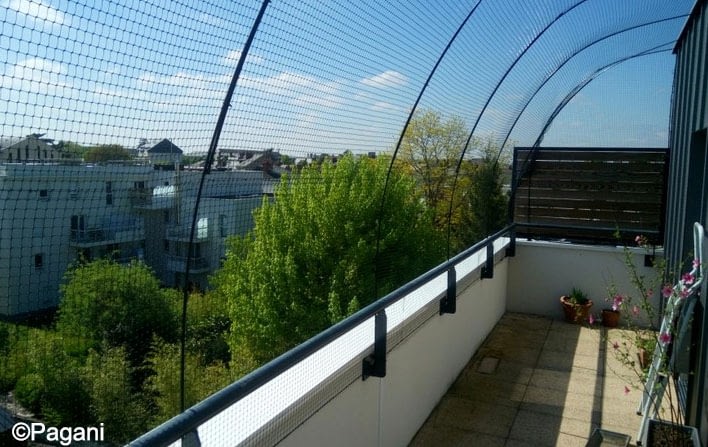 Proteger Fenetre Balcon Terrasse Pour Que Mon Chat Ne Tombe Pas Absolument Chats