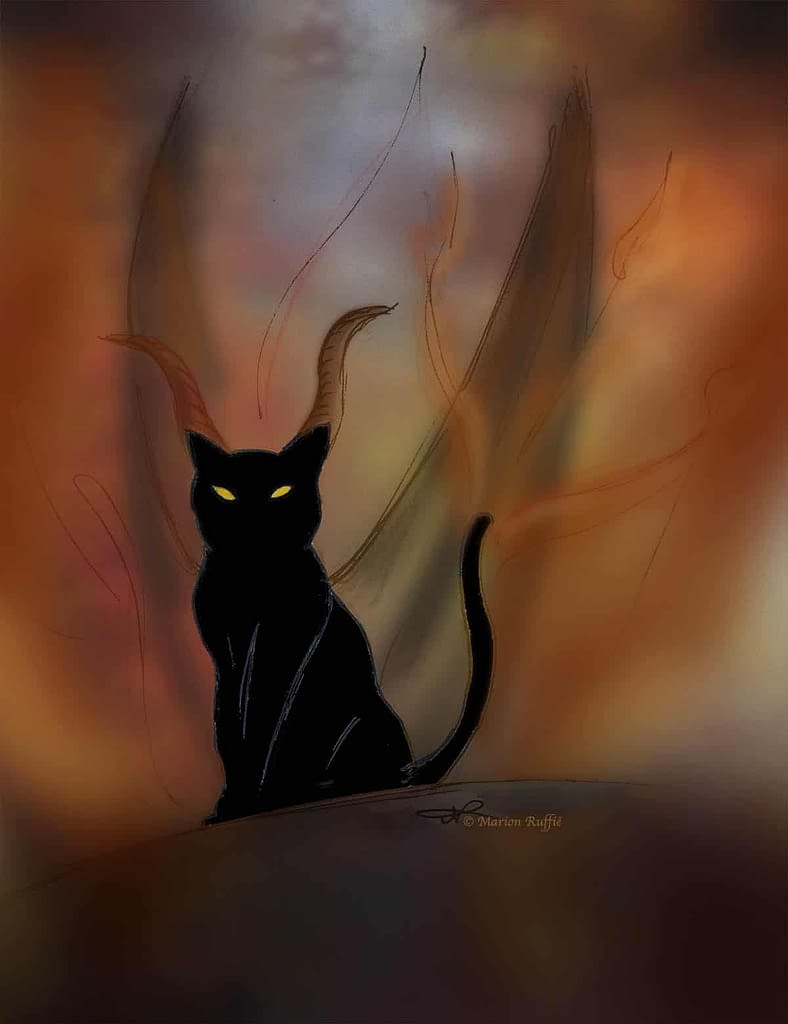 Le Chat Noir Toute Une Histoire Absolument Chats