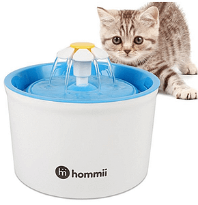 Fontaine A Eau Pour Chat Test Et Avis Absolument Chats