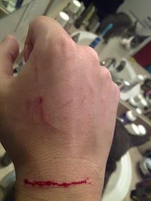 Au Secours Mon Chat Est Agressif Avec Moi Absolument Chats