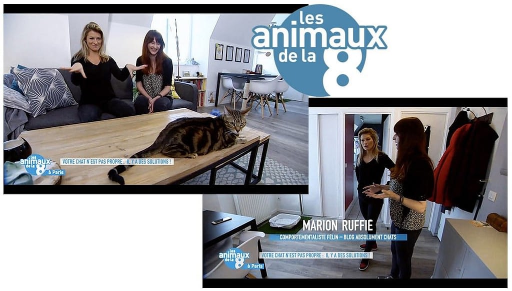 Cleaners Les Experts Du Ménage Youtube Partenaires