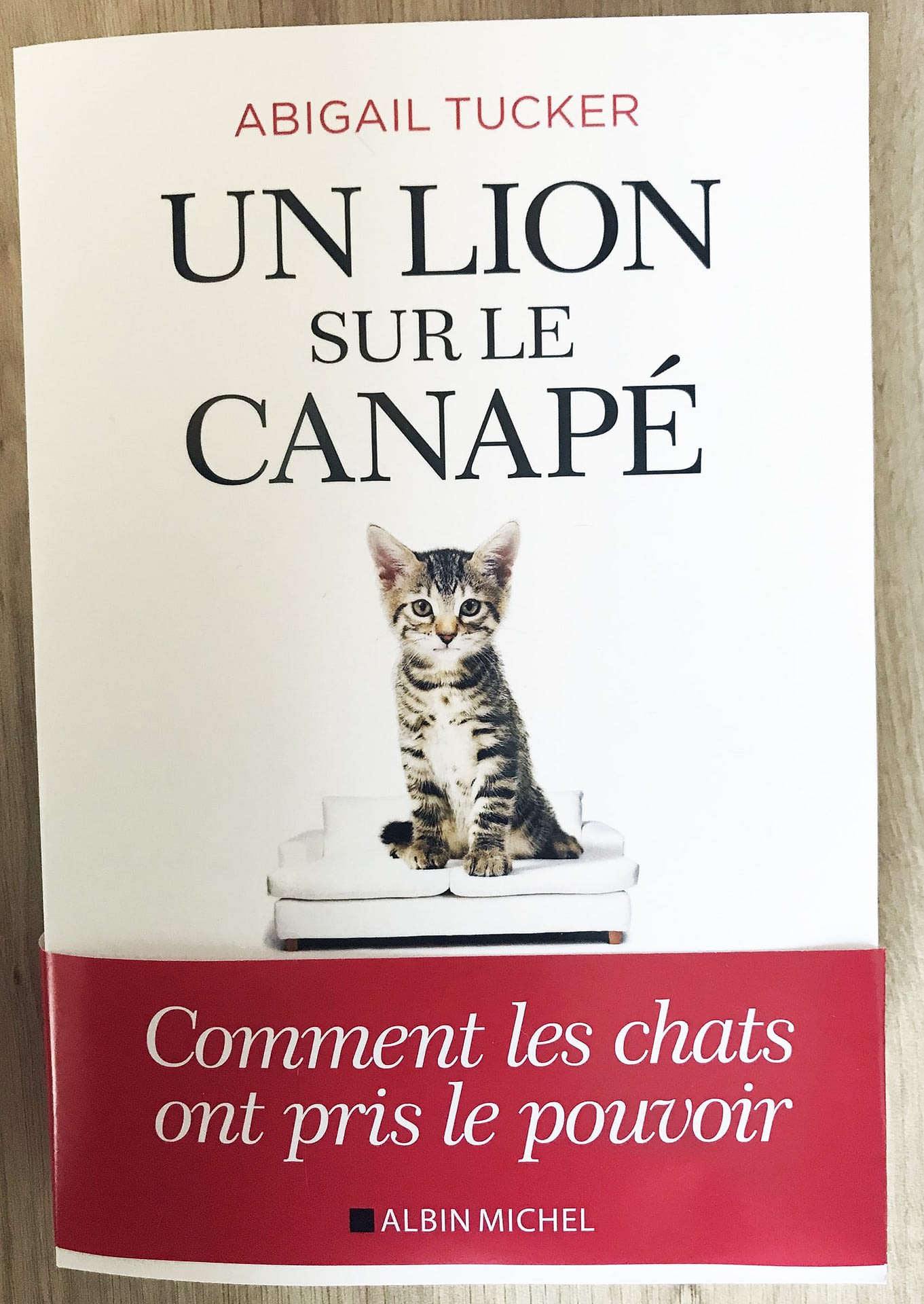 Les Meilleurs Livres Sur Les Chats Absolument Chats