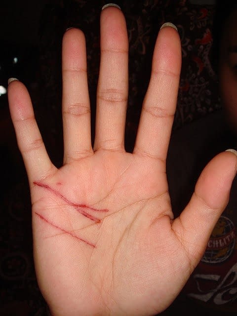 Au Secours Mon Chat Est Agressif Avec Moi Absolument Chats