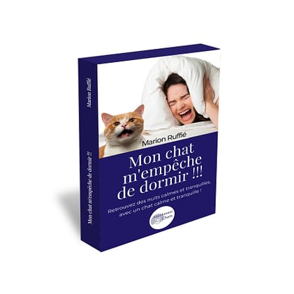 5 Choses Qui Stressent Votre Chat Absolument Chats