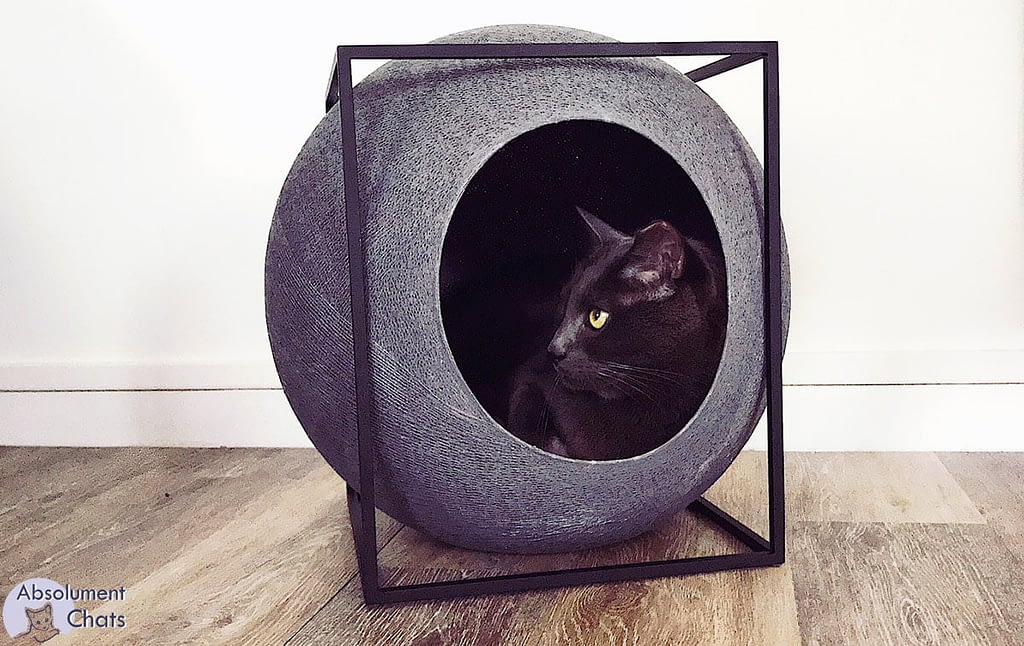 Du Mobilier Design Pour Chat Chat Va Vous Plaire