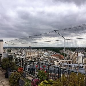 Proteger Fenetre Balcon Terrasse Pour Que Mon Chat Ne Tombe Pas Absolument Chats