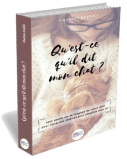 60 Citations Sur Les Chats